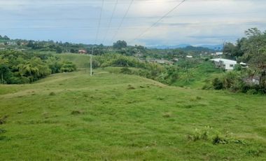lote en arriendo en via armenia. Cod A18502