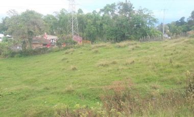 lote en arriendo en via armenia. Cod A18502