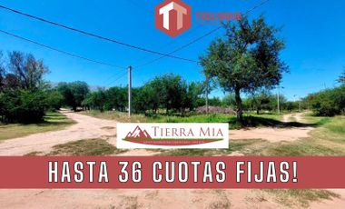 Tierra Mia - Lote 108