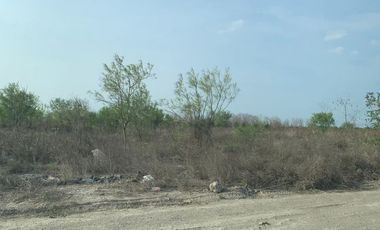 Terrenos en Renta en San Isidro