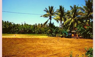 Tanah Murah Moyudan Sleman Pasti Untung