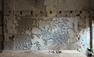 Local en Microcentro, 1.800 m2