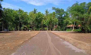 Dijual Tanah Dekat Pintu Tol Bisa Dicicil Kota Purworejo