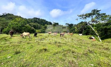 finca en venta en vda. el barro. Cod V54569