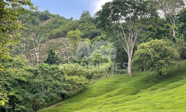 finca en venta en vda. el barro. Cod V54569