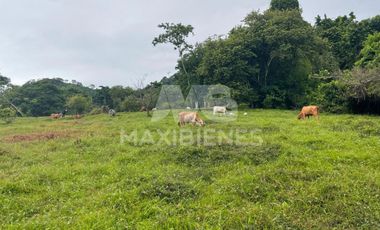 finca en venta en vda. el barro. Cod V54569