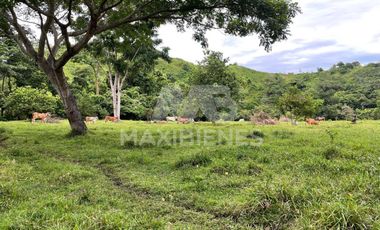 finca en venta en vda. el barro. Cod V54569