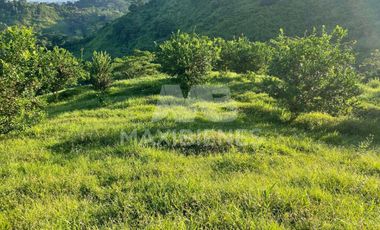 finca en venta en vda. el barro. Cod V54569