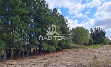 Parcela en Venta en San Carlos Puren - Retén Carabineros