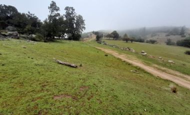 Terreno Comuna Empedrado, Piuco, El Maule