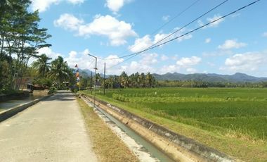 Tanah Kavling SHM, 5 Menit RSUD RAA Tjokronegoro Purworejo