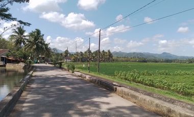 Tanah Kavling SHM, 5 Menit RSUD RAA Tjokronegoro Purworejo