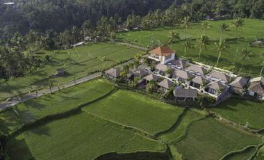 Villa Resort with beautiful rice field views in Ubud