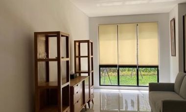 Disewakan Apartemen Premium LLOYD Alam Sutera Tangerang Selatan Lokasi Sangat Strategis Fully Furnished