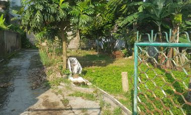 Dijual Cepat Tanah Luas Dgn 5 Bangunan Rumah Pinggir Jalan Parongpong Ciwaruga Samping Setiabudi Regency