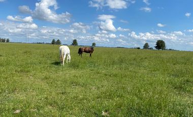 Campo - Ranchos