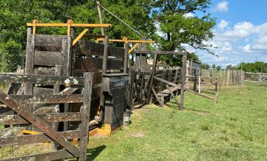 Campo - Ranchos