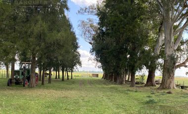 Campo - Ranchos