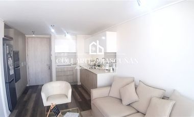 Departamento 1D1B. Costa Montemar I Bodega y estacionamiento