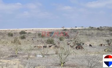 Terreno venta en Sullana