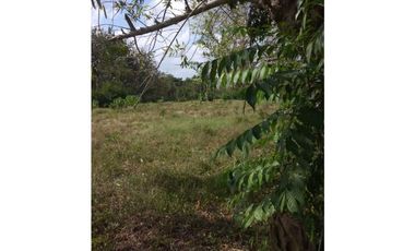 VENTA DE FINCA EN SAN ANTERITO, MONTERIA