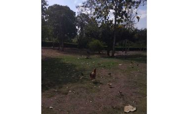 VENTA DE FINCA EN SAN ANTERITO, MONTERIA