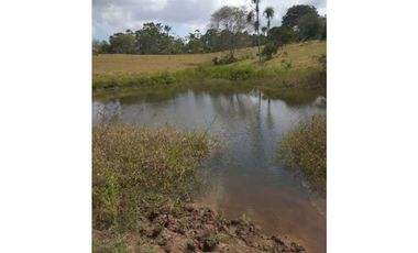 VENTA DE FINCA EN SAN ANTERITO, MONTERIA
