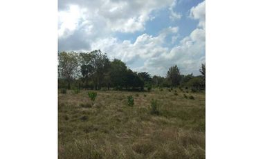 VENTA DE FINCA EN SAN ANTERITO, MONTERIA