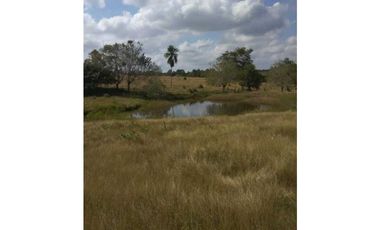 VENTA DE FINCA EN SAN ANTERITO, MONTERIA