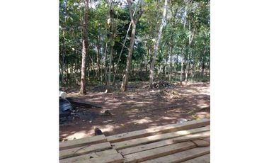 VENTA DE FINCA EN SAN ANTERITO, MONTERIA
