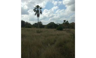VENTA DE FINCA EN SAN ANTERITO, MONTERIA