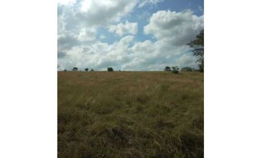 VENTA DE FINCA EN SAN ANTERITO, MONTERIA