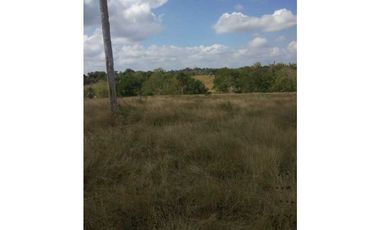 VENTA DE FINCA EN SAN ANTERITO, MONTERIA