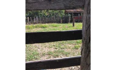 VENTA DE FINCA EN SAN ANTERITO, MONTERIA