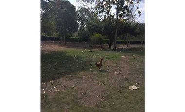 VENTA DE FINCA EN SAN ANTERITO, MONTERIA