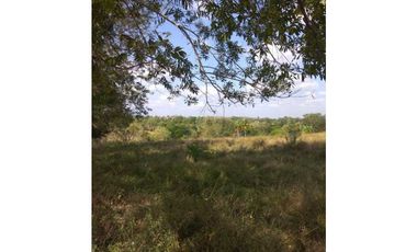 VENTA DE FINCA EN SAN ANTERITO, MONTERIA