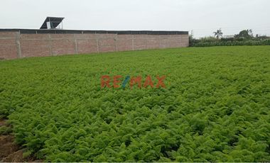 Se Vende Terreno De 3600 M2 En Chancay
