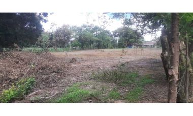VENTA FINCA CHAME