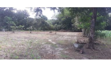 VENTA FINCA CHAME