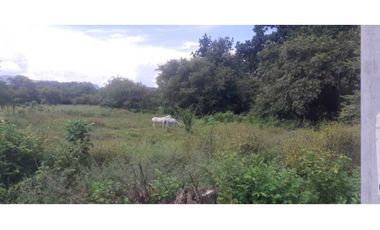 VENTA FINCA CHAME