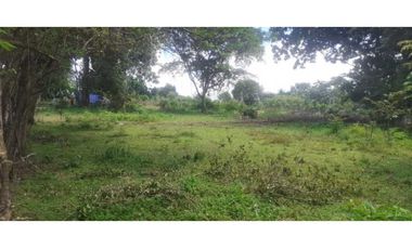 VENTA FINCA CHAME