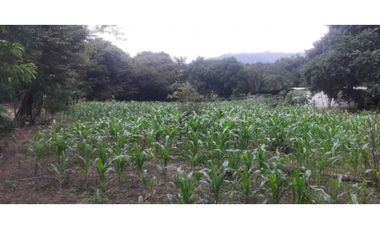 VENTA FINCA CHAME