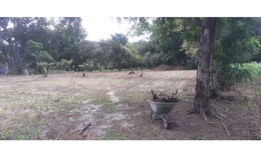 VENTA FINCA CHAME