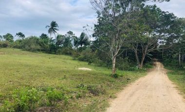 Land for Sale Ideal for Subdivision or Industrial Plant at Amoros El Salvado Misamis Oriental