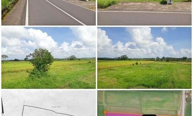 Tanah dijual di Kapal, Badung, Bali