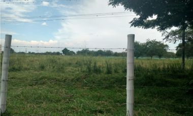 VENDE LOTE PALMIRA