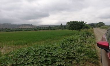 terreno arrocero de venta  en rocafuerte Manabi