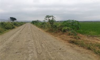 terreno arrocero de venta  en rocafuerte Manabi