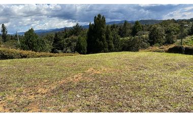 Venta Lote en El Alto de las Palmas Envigado
