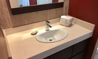 Precioso Departamento Residencial Amueblado en Polanco  175m2